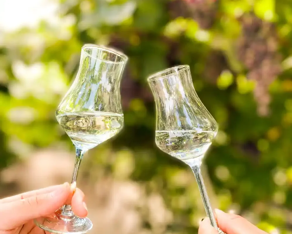 salud